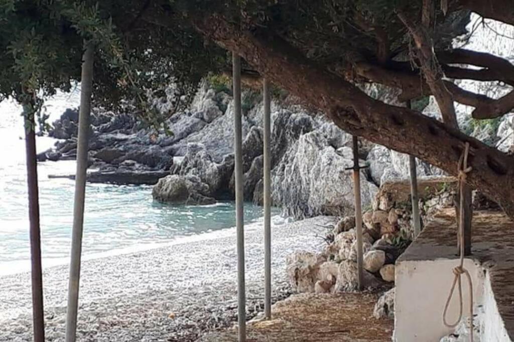 Manto Apartments Lefkada Evgiros Buitenkant foto